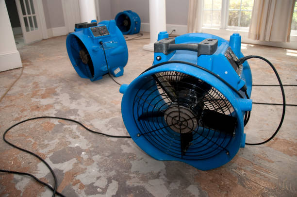 Water damage restoration mold remediation in Spencer, IA