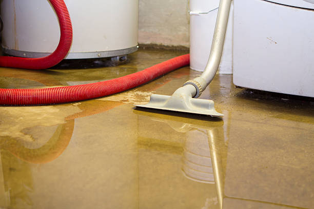  Spencer, IA Water damage restoration Pros