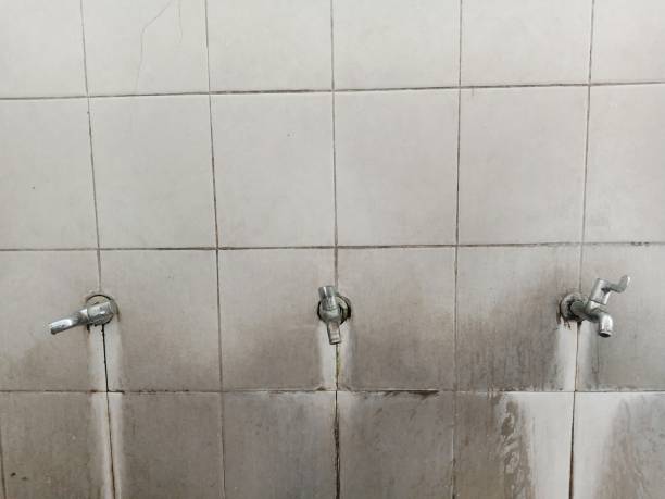 Best Flood restoration services  in Spencer, IA
