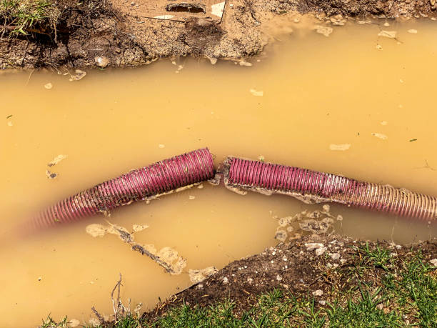 Best Residential water damage restoration  in Spencer, IA